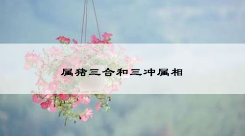 属猪三合和三冲属相