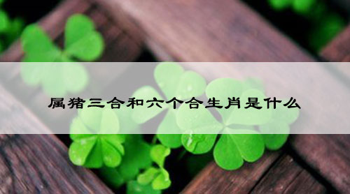 属猪三合和六个合生肖是什么