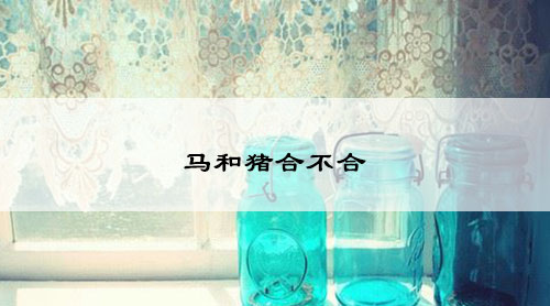 wenzhangimg.jpg