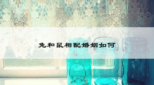 兔和鼠相配婚姻如何
