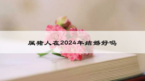 属猪人在2024年结婚好吗