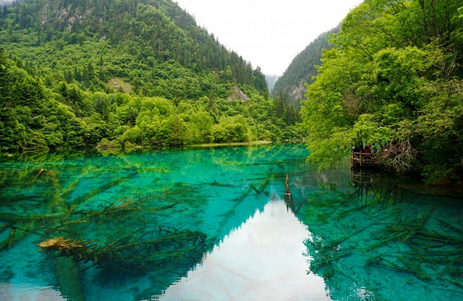 微信截图_20240113151856.png