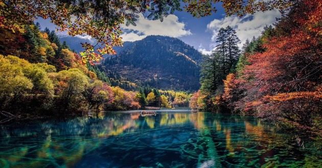 上海风水大师