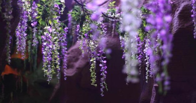 上海风水大师