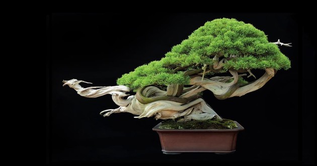 上海风水大师