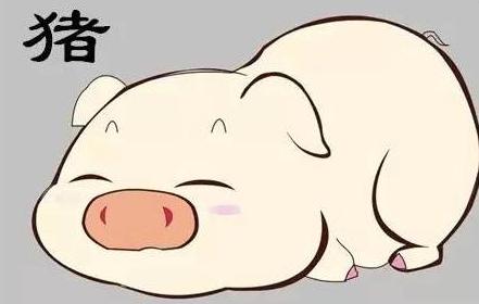 属猪人2020年4月份金钱运势