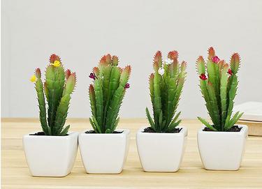 容易导致口舌是非的房屋风水