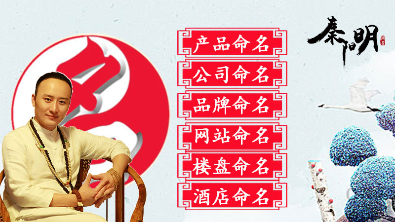 全国最有名的起名大师都有谁?