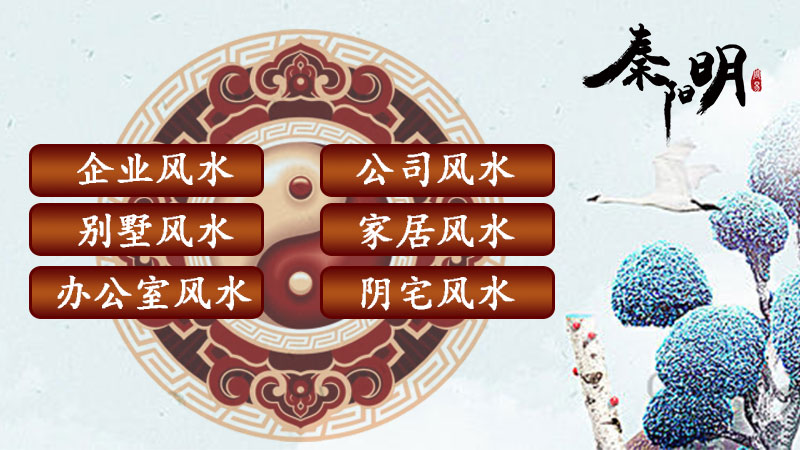 河南风水大师秦阳明风水服务项目